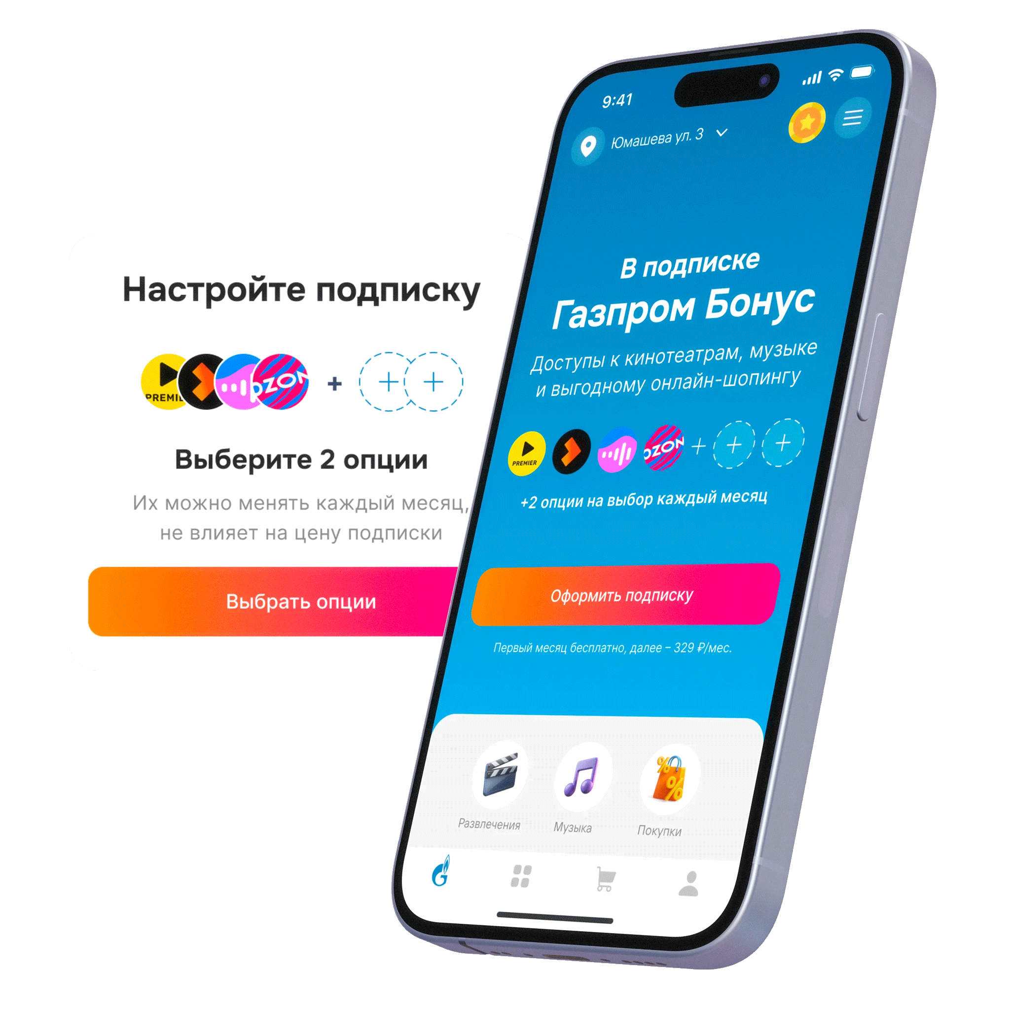 Custom subscription project screenshot